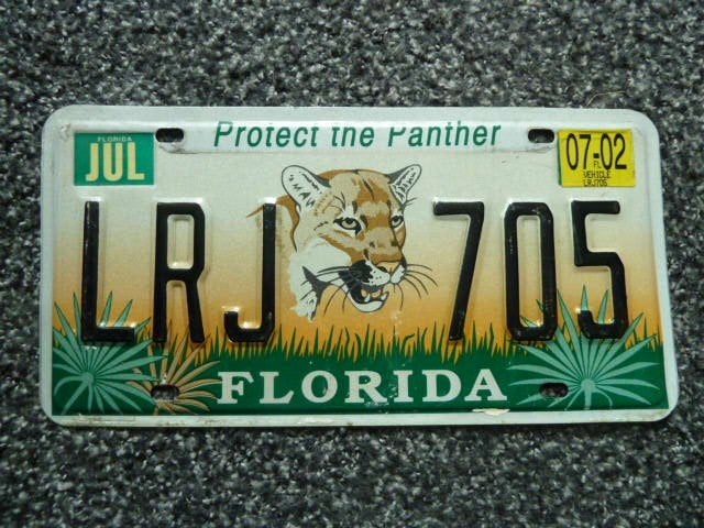 Kentekenplaat licenseplate Florida Protect Panther Florida, Verzenden, Gebruikt, Auto's