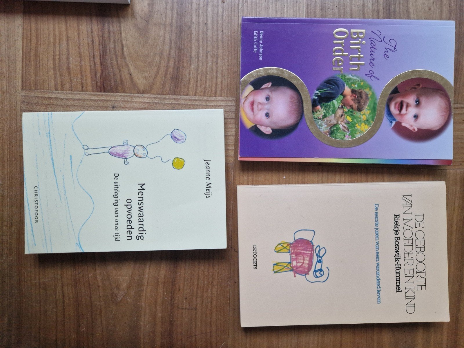 Boeken over ouderschap en opvoeding (3 stuks), Ophalen of Verzenden, Gelezen, Zwangerschap en Bevalling