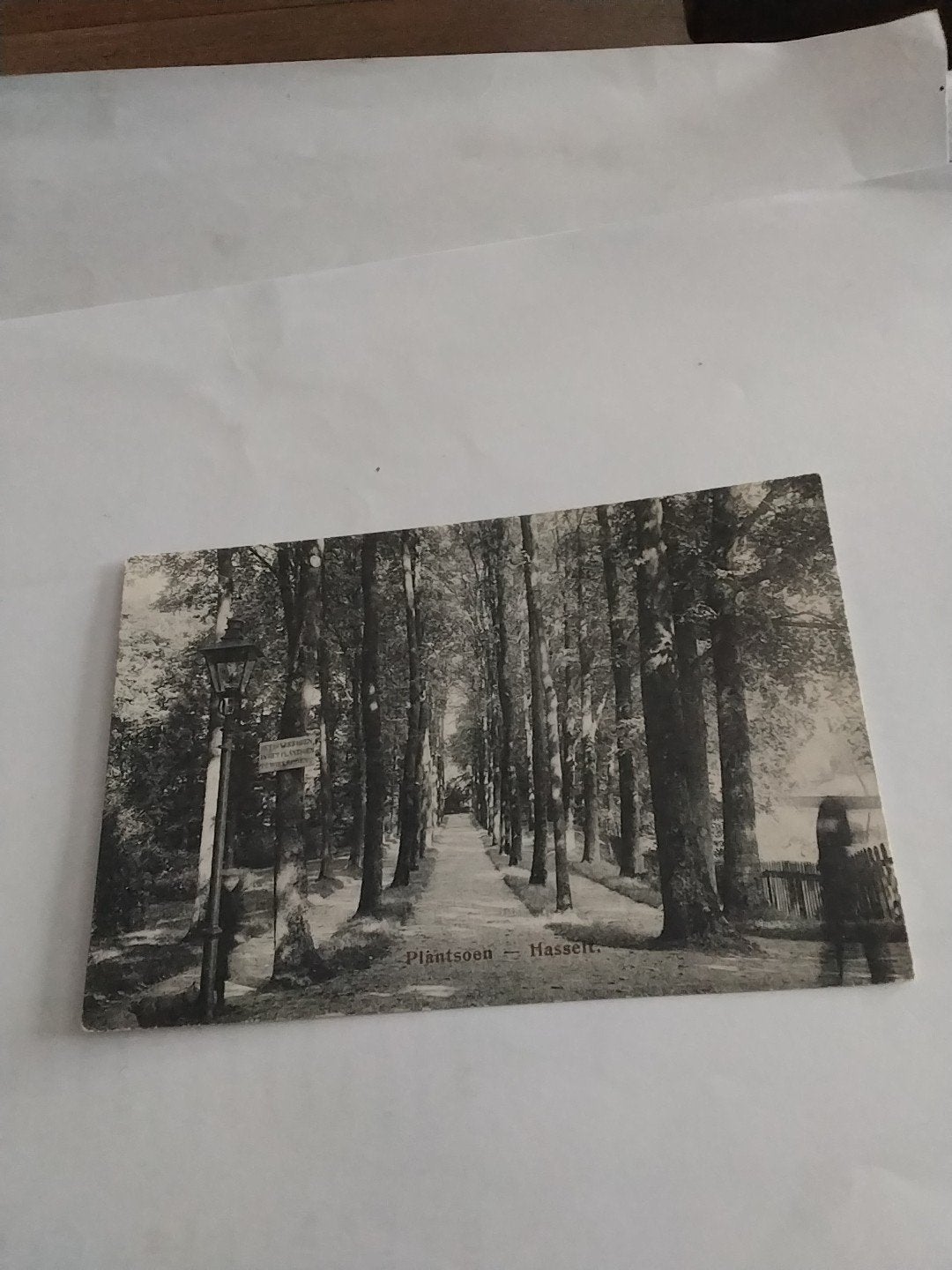 Oude Ansichtkaart Plantsoen Hasselt (voor 1920), Ophalen of Verzenden, Voor 1920, Gelopen, Overijssel