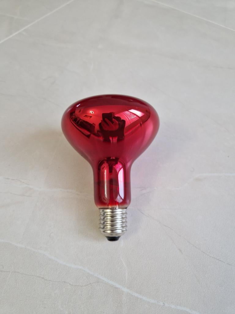Warmtelamp 60 watt voor kuikens, kippen, eenden nieuw, Ophalen of Verzenden, Nieuw, E27 (groot), Led-lamp