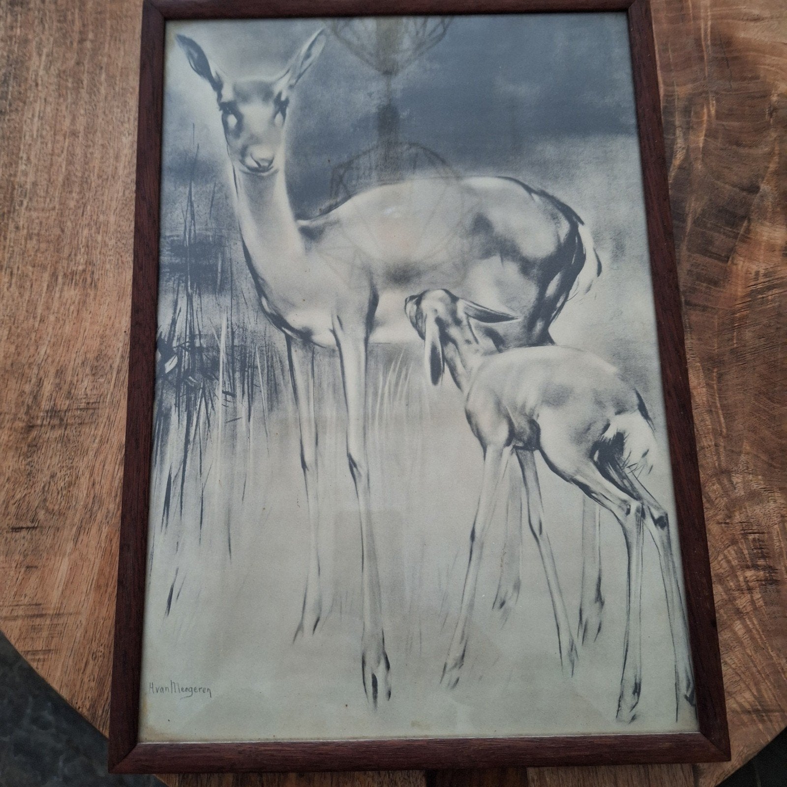 Vintage tekening van Han van Meegeren - Herten, Antiek en Kunst, Ophalen of Verzenden