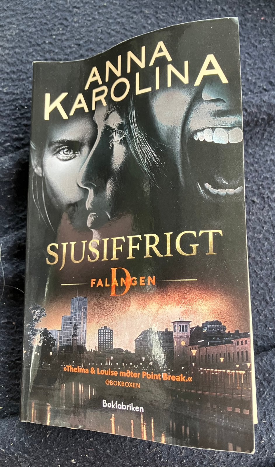 Sjusiffrigt - Anna Karolina (Zweeds), Ophalen of Verzenden, Gelezen