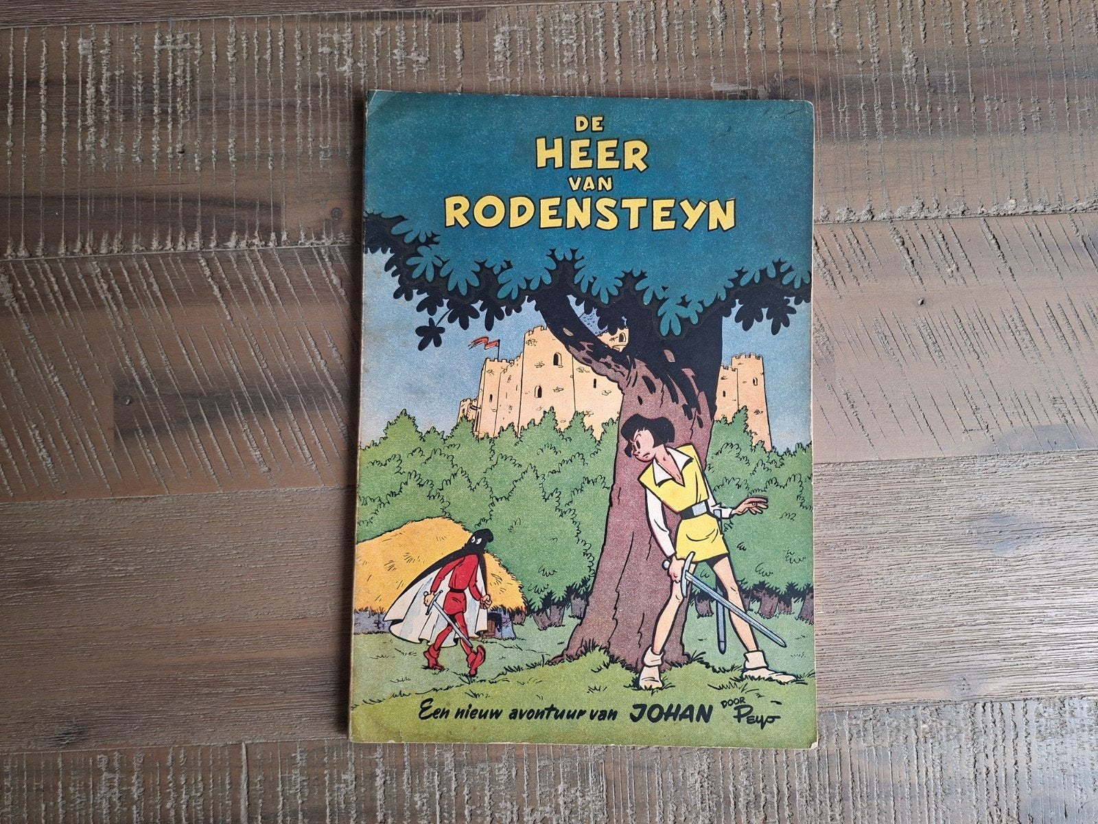 De Heer van Rodensteyn - Eerste Druk 1954, Boeken, Stripboeken, Zo goed als nieuw, Eén stripboek, Ophalen of Verzenden