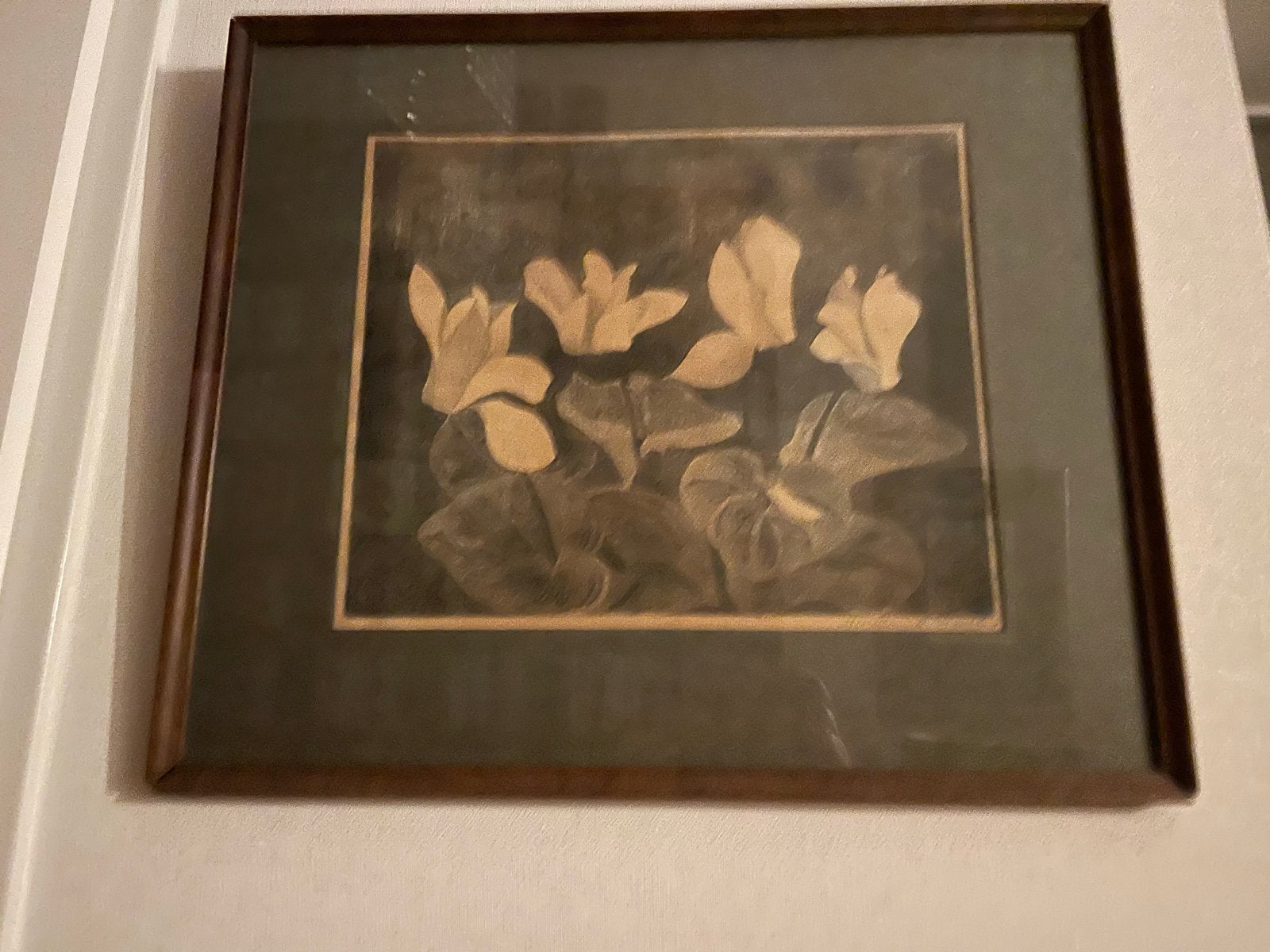 Gezocht: Grafiek van Samuel Jessurun de Mesquita, Antiek en Kunst, Ophalen, Flora en Fauna, 1900 - 1949, Houtsnede