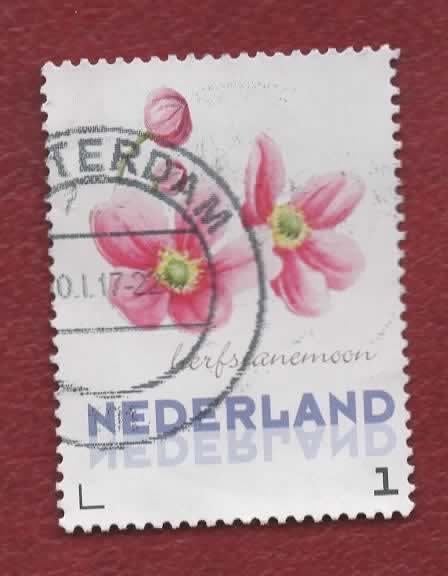 3013 - Pers.zegel - Herfstanemoon - '13 - gebr (pst. A'dam), Ophalen of Verzenden, Gestempeld, Dier of Natuur