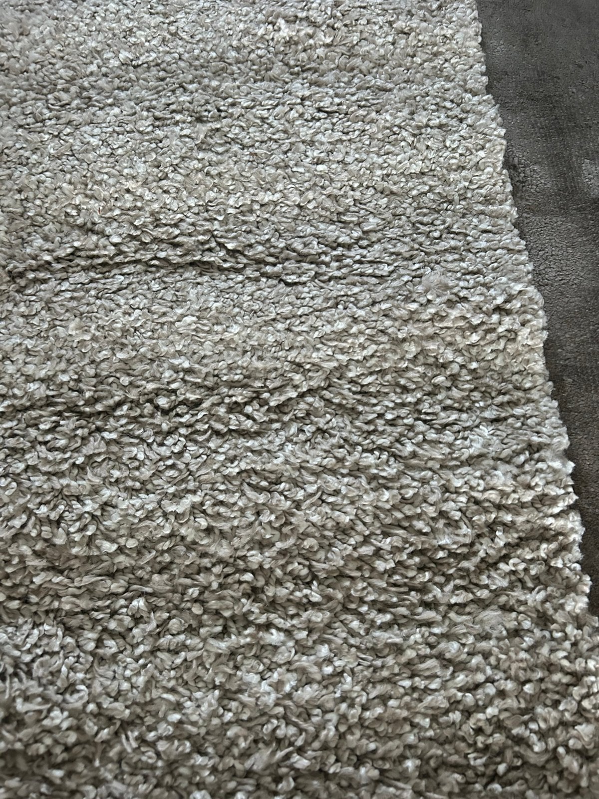 Vivace. Vloerkleed. Shaggy Boston Beige. 150/220, Ophalen, Beige, Neutraal, Nieuw