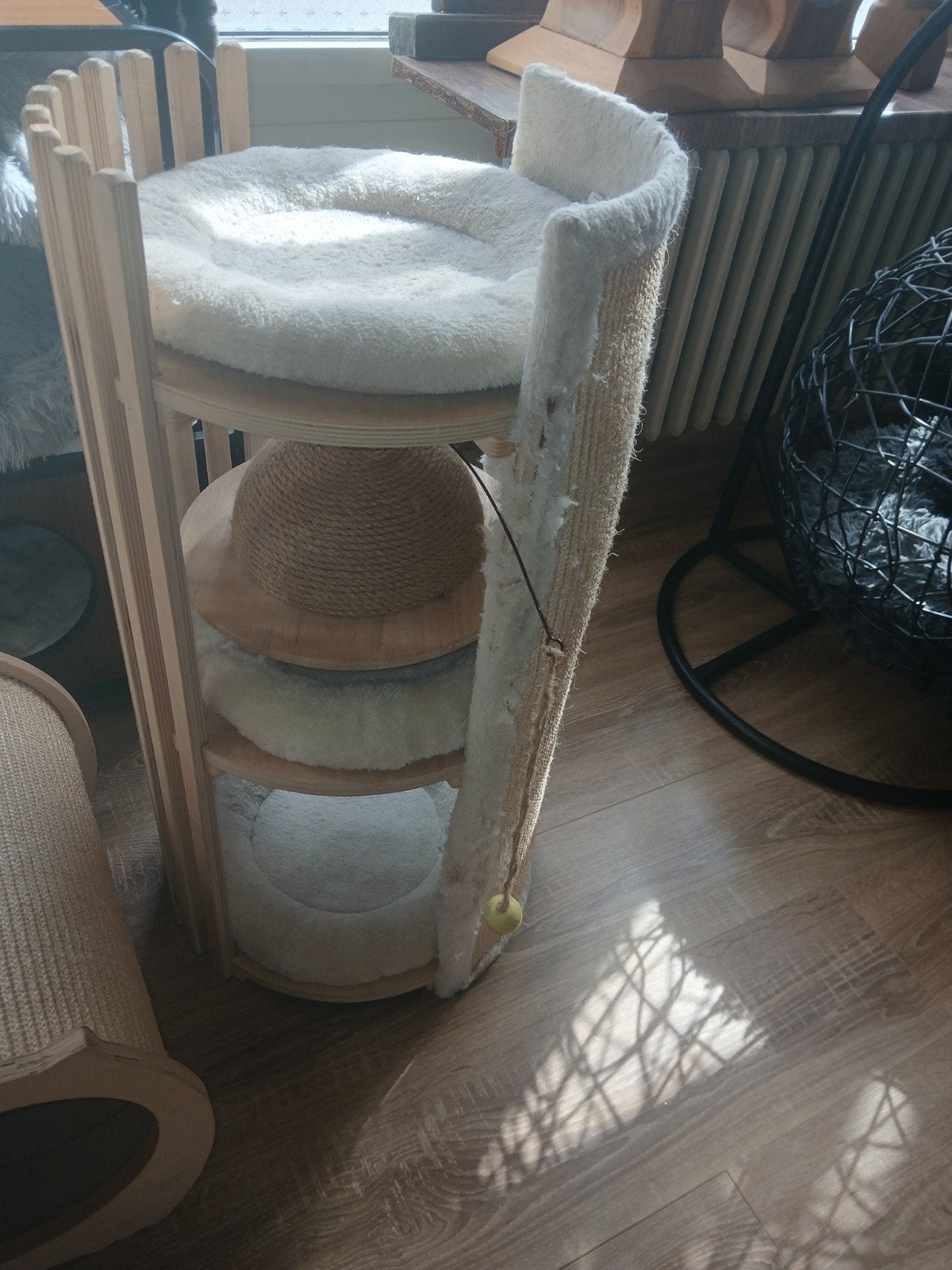 te koop katten krabton, Dieren en Toebehoren, Ophalen of Verzenden