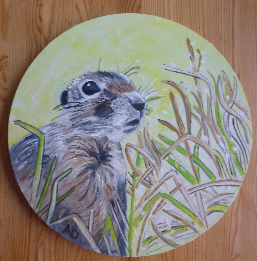 Eekhoorn, Acrylverf, Handgeschilderd, Ophalen of Verzenden, Dieren