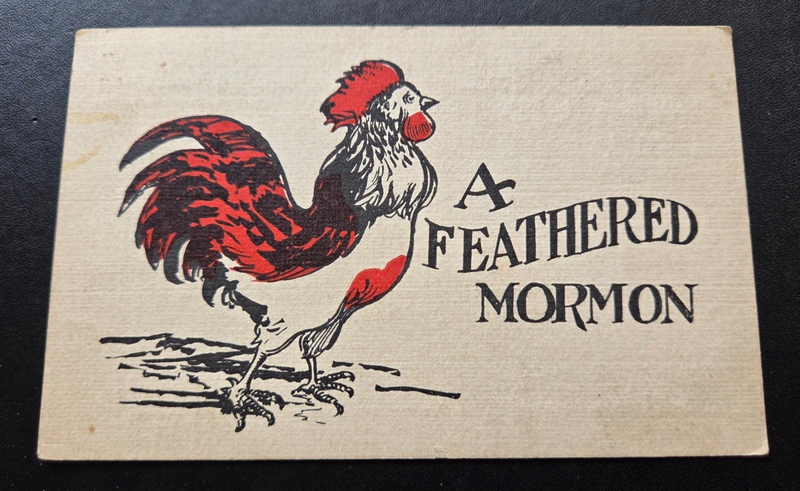A feathered Mormon, Verzenden, Voor 1920, Gelopen, Overige thema's