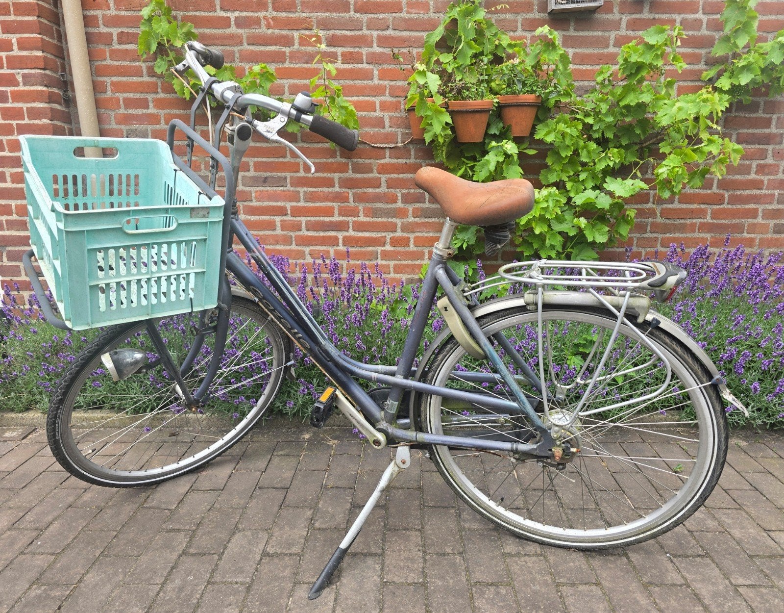 Gazelle Damesfiets / Transportfiets (inc rek & krat), Ophalen, Gebruikt, Gazelle