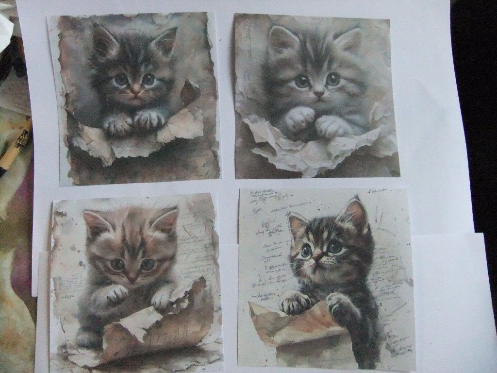 Leuke knipvellen met schattige kittens - 8 stuks van 15-15cm, Ophalen of Verzenden, Nieuw, Dieren, Knipvel