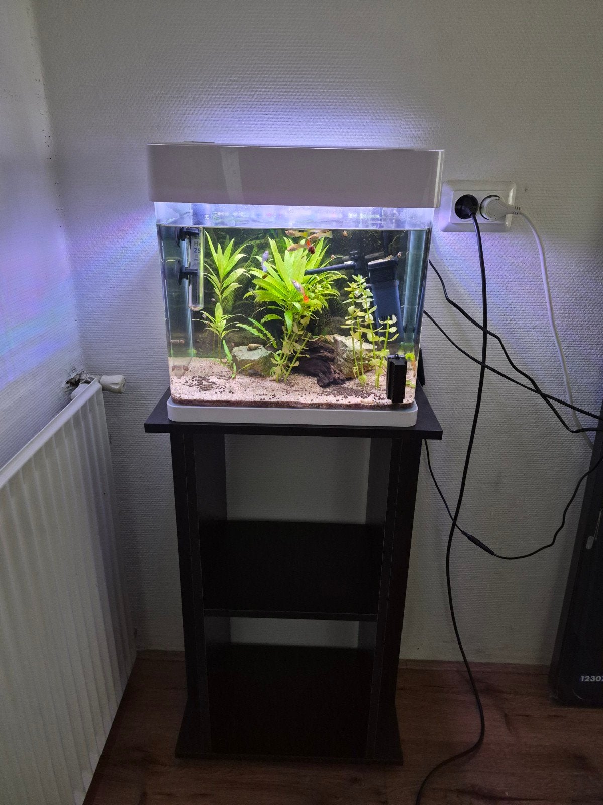 Compleet SuperFish Panorama 30 + kast + guppen & toebehoren, Ophalen, Inclusief deksel, Gebruikt, Gevuld zoetwateraquarium