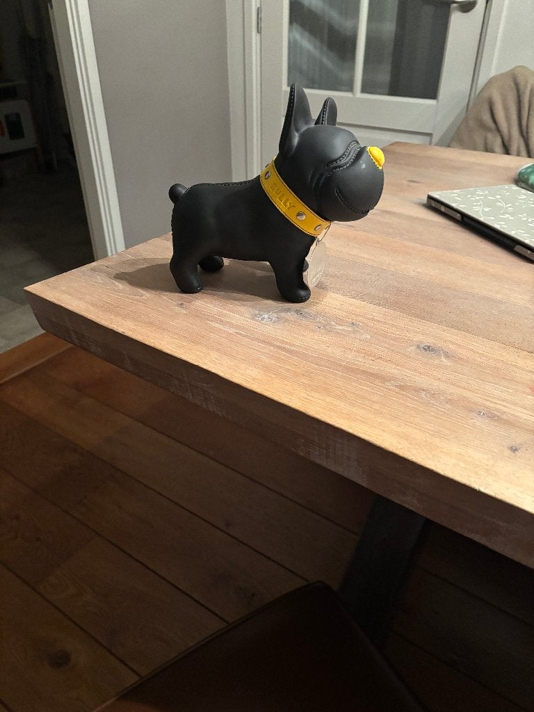 Spaarpot Bully in vorm van Franse boxer Sëmk design, Ophalen of Verzenden, Zo goed als nieuw, Hond of Kat, Overige typen