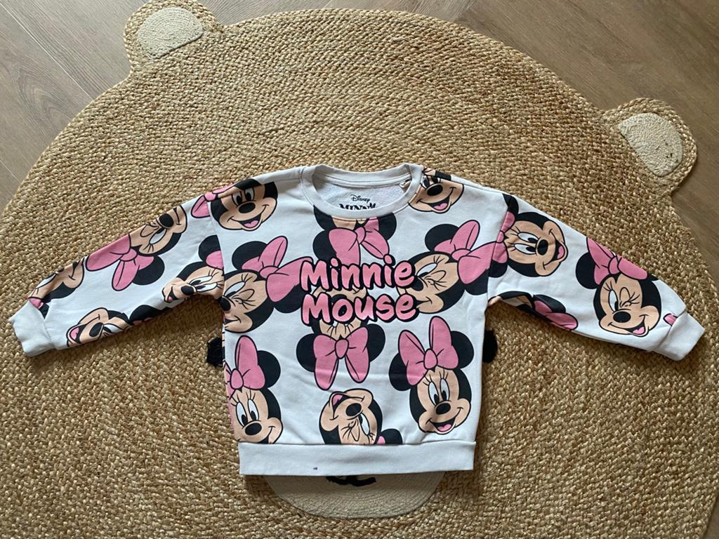 Minnie Mouse sweater maat 98/104, Kinderen en Baby's, Kinderkleding | Maat 98, Ophalen of Verzenden, Gebruikt, Meisje, Trui of Vest