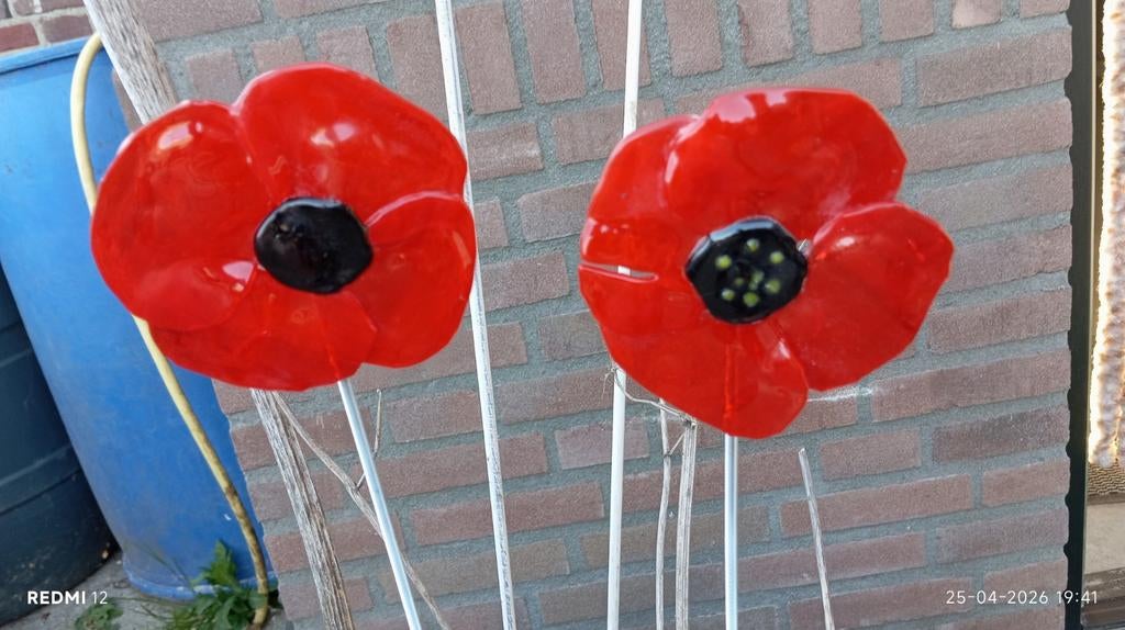 Glazen klaprozen op steel, Ophalen of Verzenden