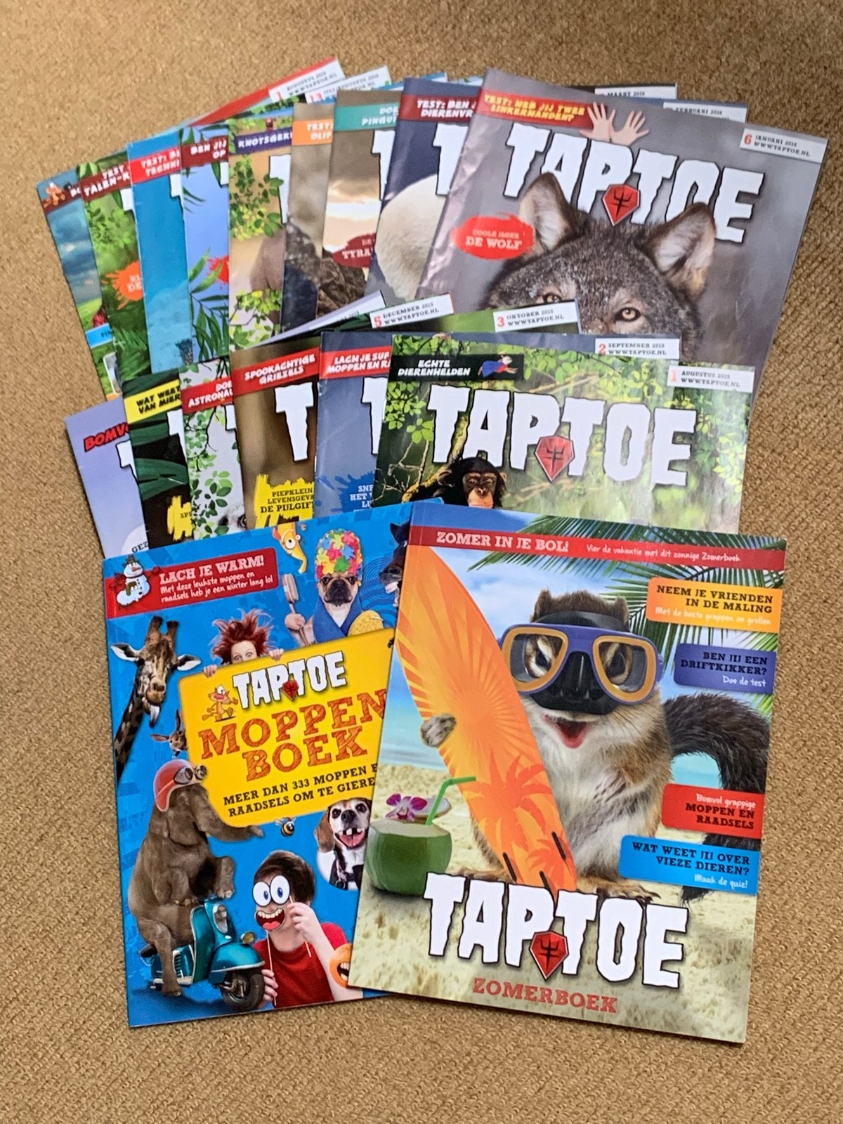 Taptoe tijdschriften en boeken 2015-2016, Ophalen of Verzenden, Gelezen, Non-fictie