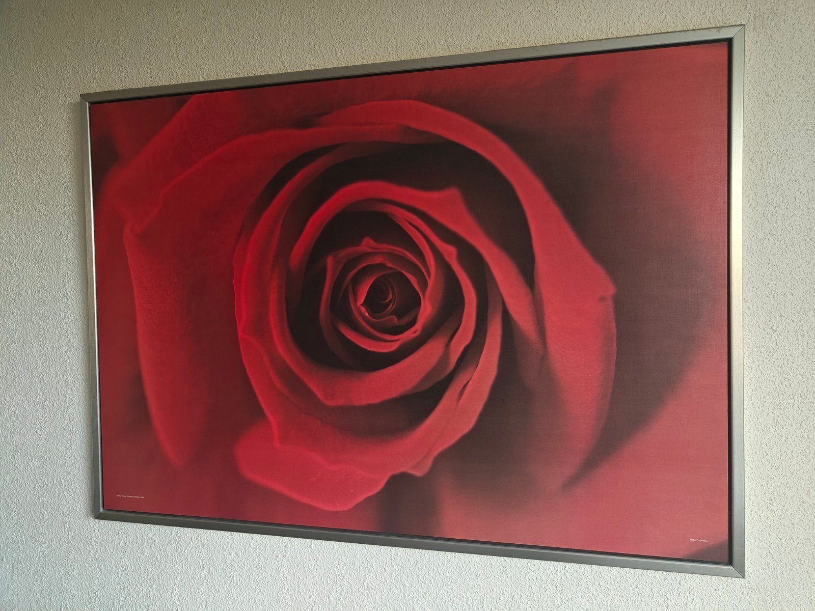 Muurdecoratie roos ikea, Antiek en Kunst, Kunst | Schilderijen | Abstract, Ophalen