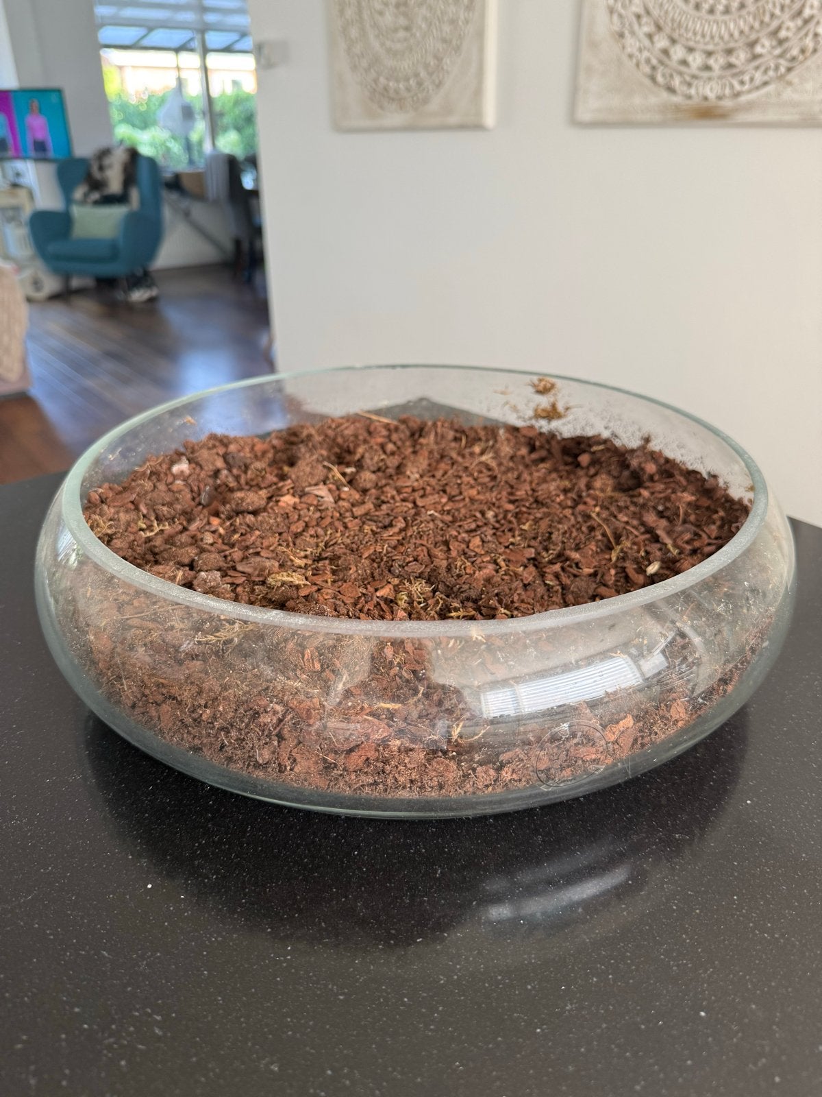 Glazen schaal, doorsnede 33cm, hoogte 10cm, Ophalen, Gebruikt, Schaal, Rond
