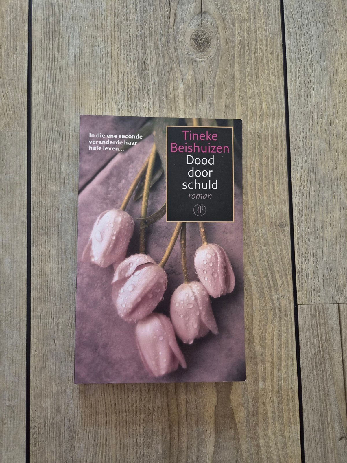 Dood door schuld - Tineke Beishuizen (roman), Ophalen of Verzenden, Gelezen, Tineke Beishuizen, Nederland