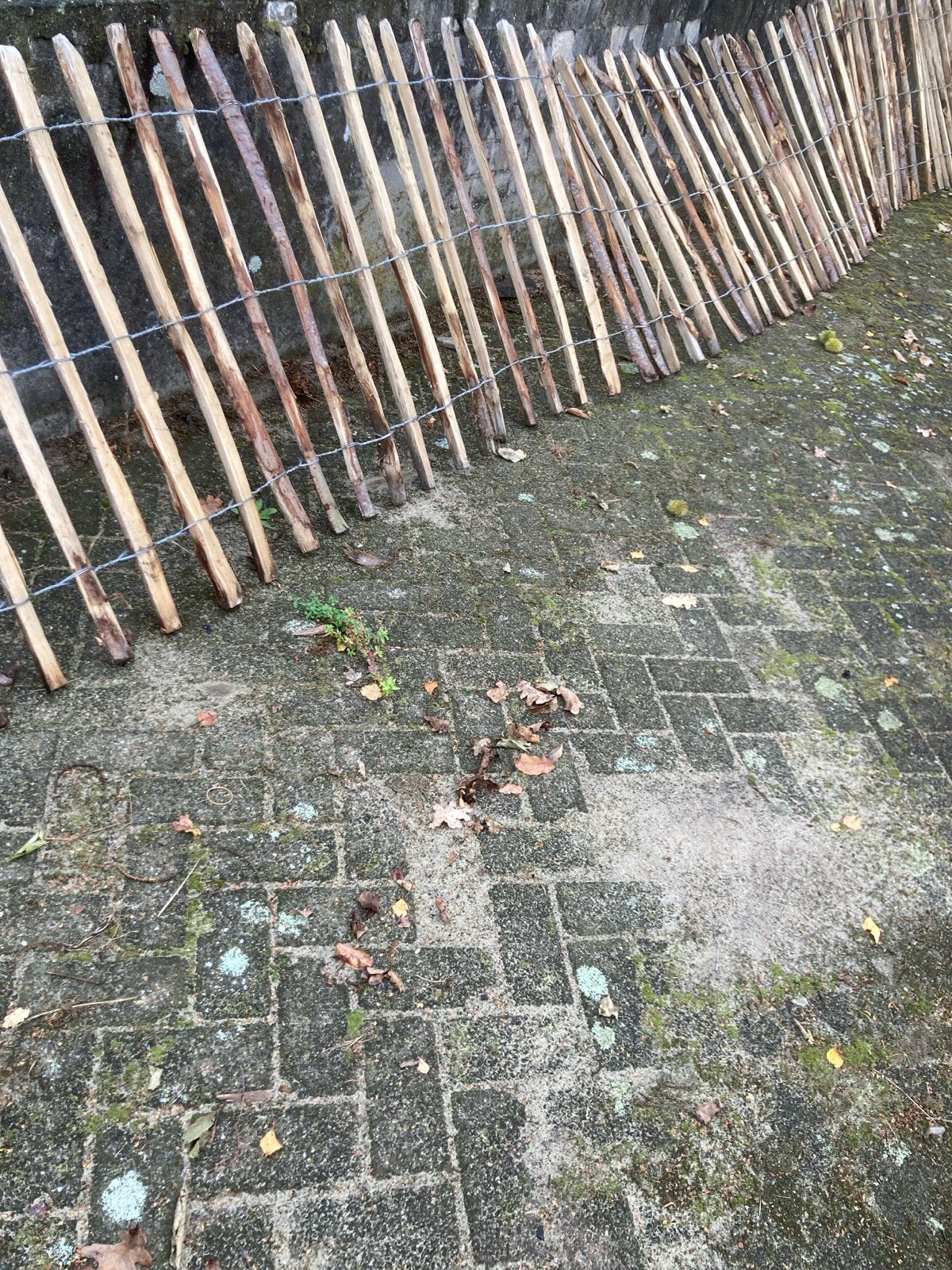 Houten tuinhek - Rustiek en natuurlijk, Ophalen of Verzenden, Gebruikt, Hout, Tuinhek