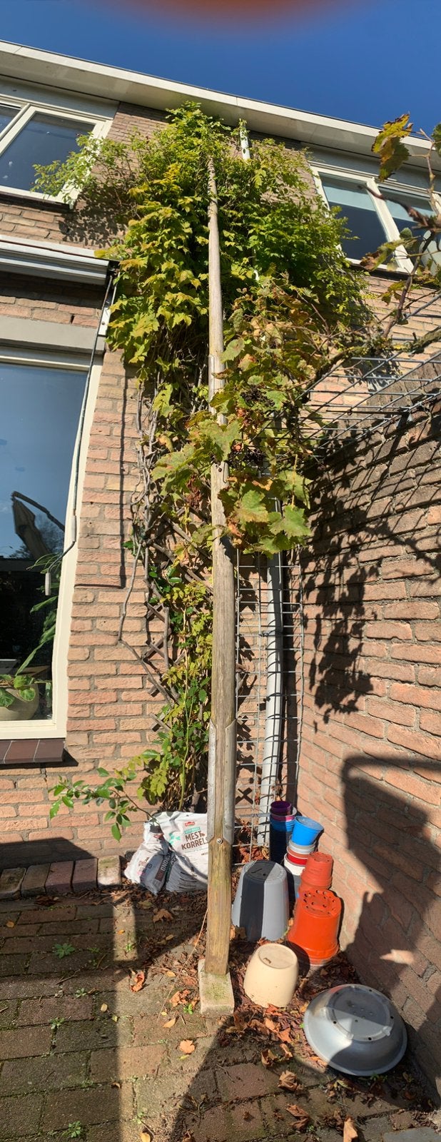 Mast, Ophalen, Minder dan 15 m²