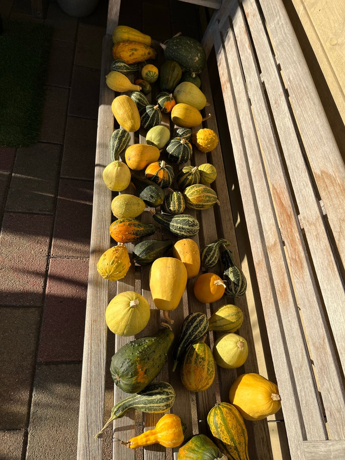 Decoratieve pompoenen en kalebassen - Herfstdecoratie, Tuin en Terras, Ophalen, Nieuw