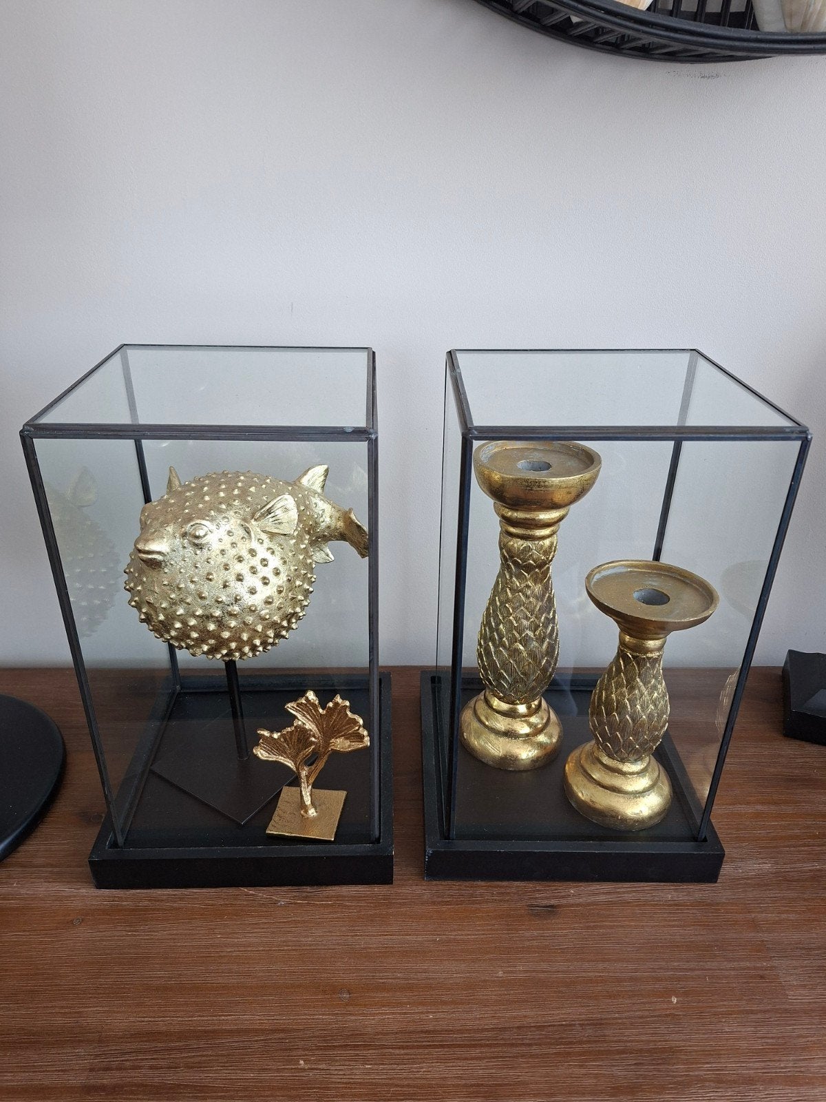 Set van 2 glazen vitrines met zwarte rand en bodem, Ophalen, Zo goed als nieuw