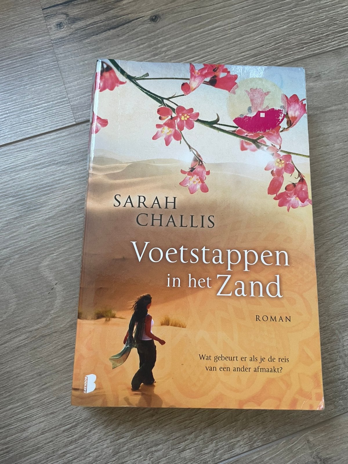 Voetstappen in het zand, Boeken, Ophalen of Verzenden, Zo goed als nieuw