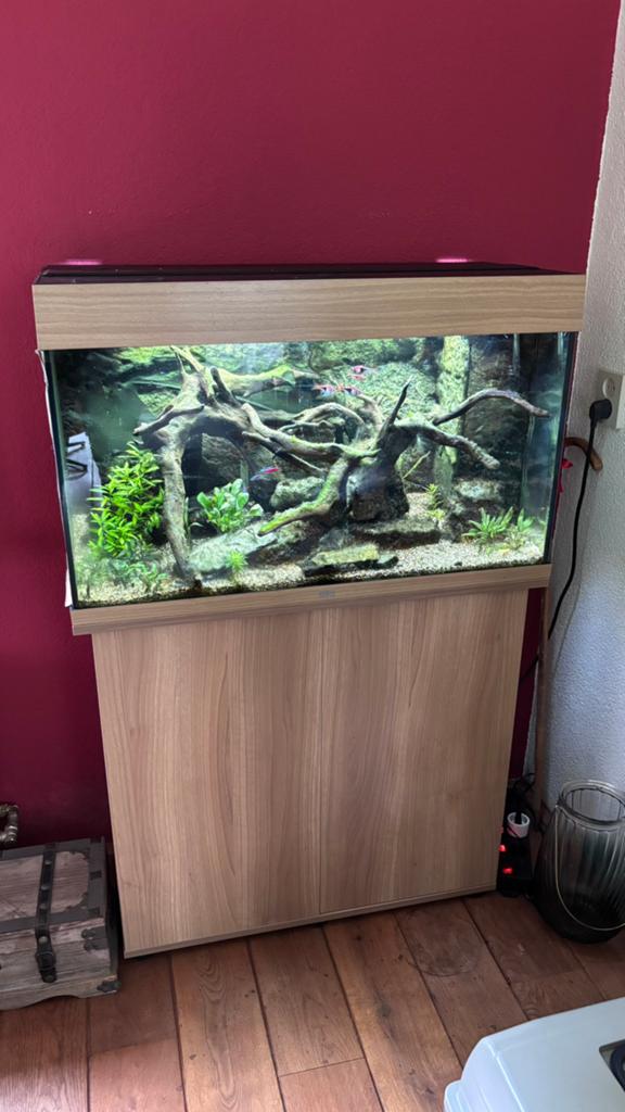 Juwel 80cm bak compleet met vissen, Ophalen, Gebruikt, Gevuld zoetwateraquarium, Verwarming