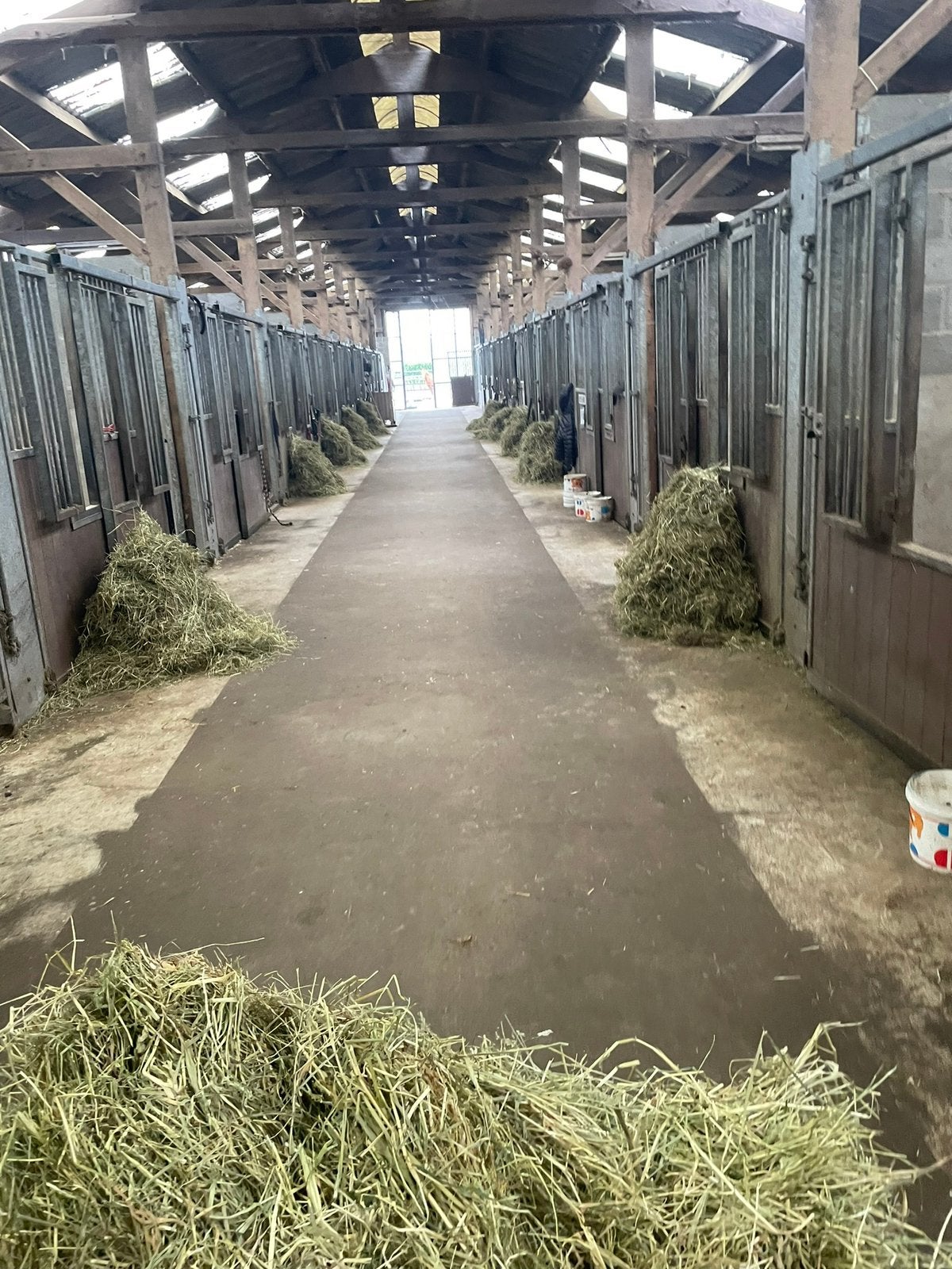 2 plekjes vrij, Dieren en Toebehoren, Stalling en Weidegang, Weidegang
