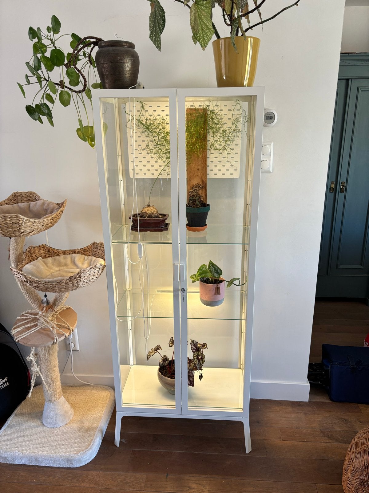 IKEA Milsbo Greenhouse Kast met LED-verlichting, Ophalen, Gebruikt, 50 tot 100 cm, Glas