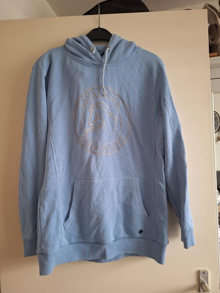Te koop leuke trui van cavalluna, Dieren en Toebehoren, Paardrijkleding, Ophalen of Verzenden, Zo goed als nieuw, Overige soorten
