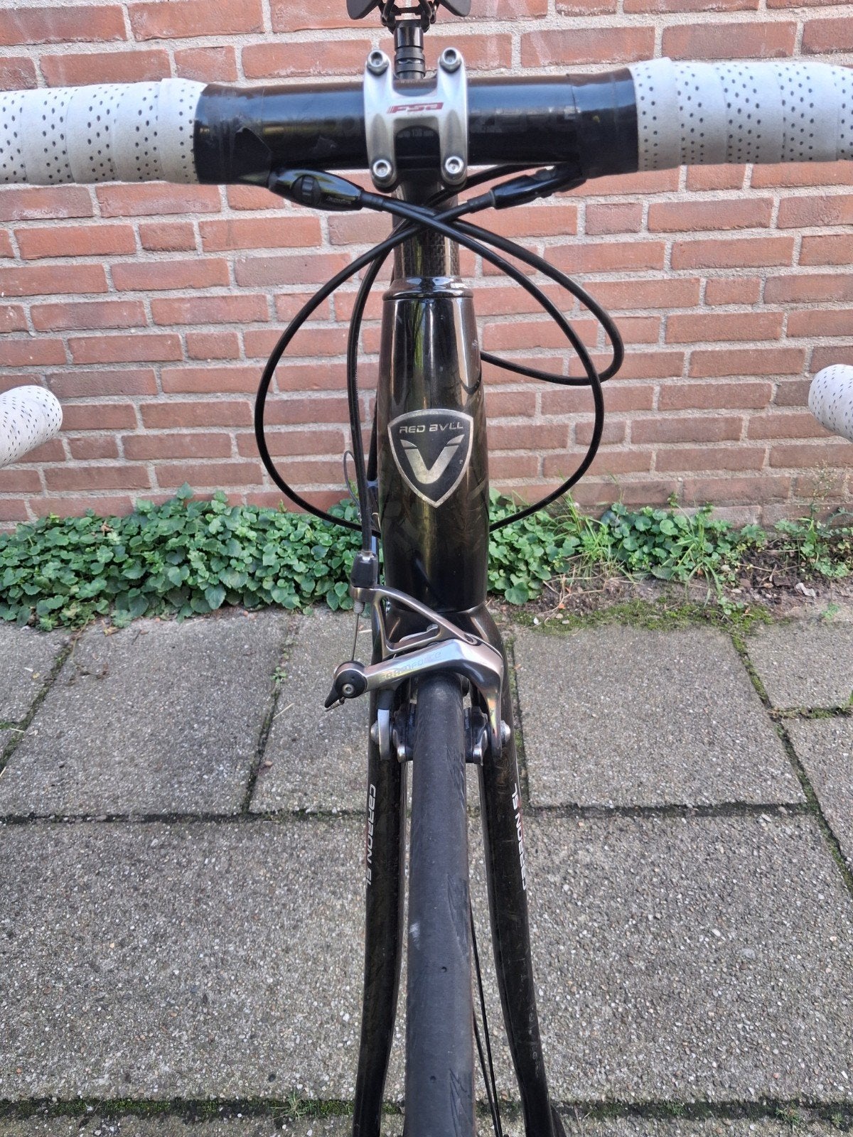 Foto 6 van Red Bull (Rose) Carbon-SL 4400