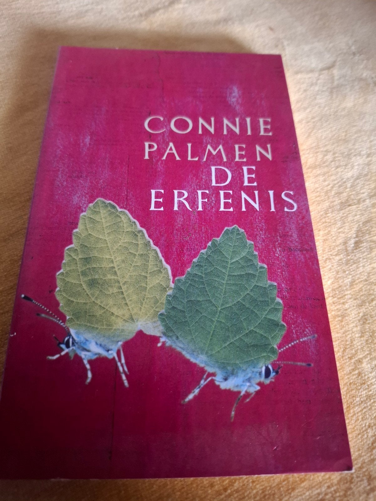 De Erfenis - Connie Palmen (Roman), Ophalen of Verzenden, Gelezen, Connie Palmen