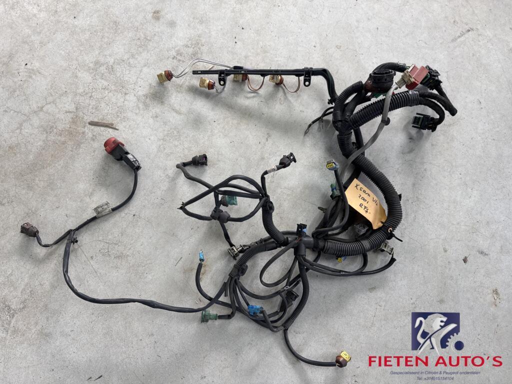 Motorkabelboom Citroën Xsara 2.0 16V VTS 6558W4 XU10J4RS RFS, Gebruikt, Citroën, Ophalen of Verzenden, Citroen