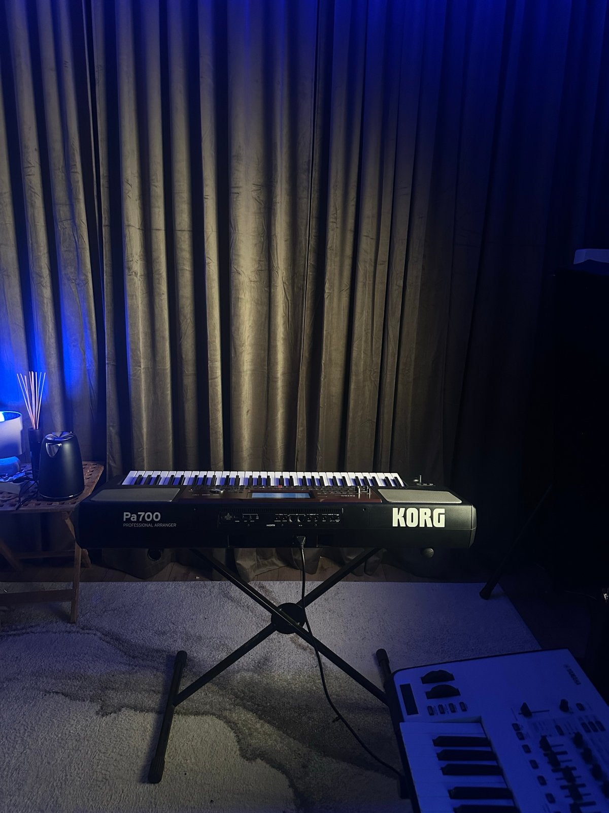 Korg Pa700 Professional Arranger Keyboard, Muziek en Instrumenten, Keyboards, Ophalen, 61 toetsen, Korg, Zo goed als nieuw
