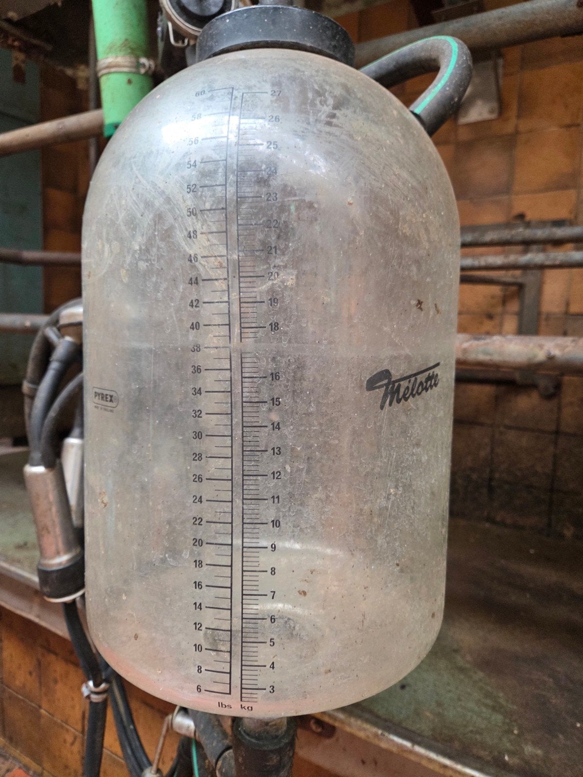 28 liter melkglazen, Ophalen, Gebruikt