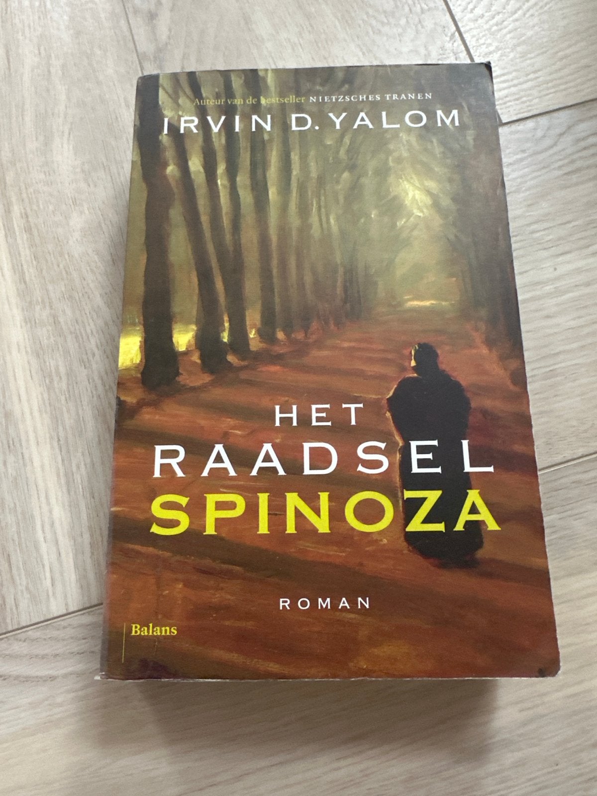 Het Raadsel Spinoza - Irvin D. Yalom (Roman), Boeken, Ophalen of Verzenden, Gelezen, Nederland