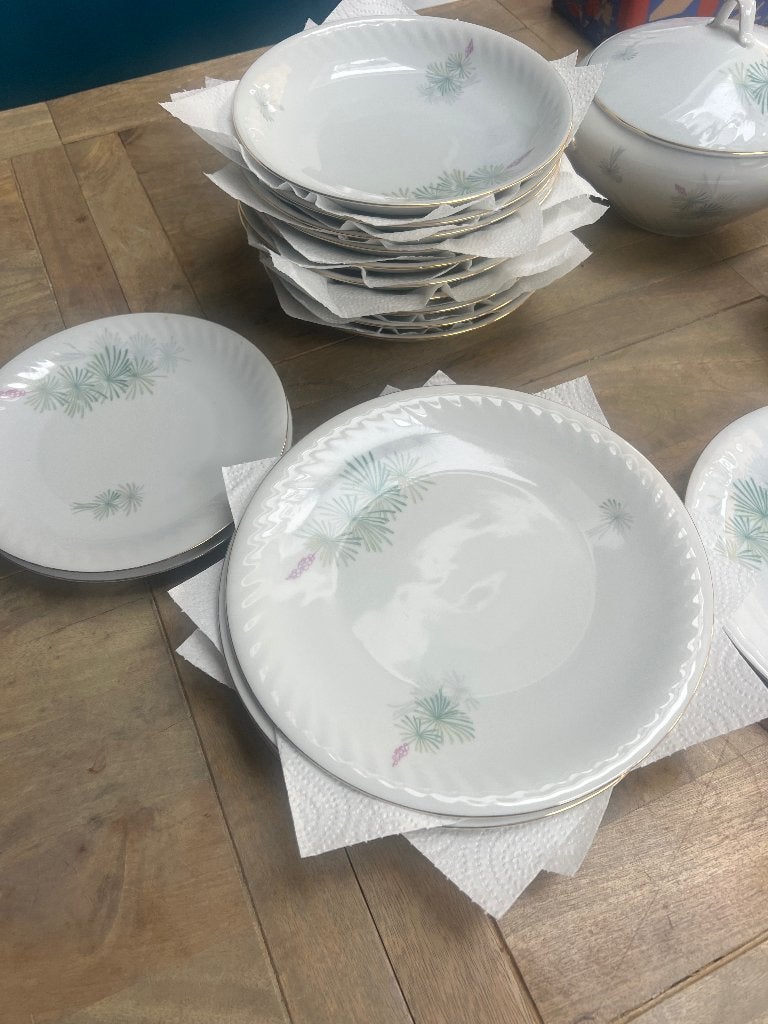 Nieuw mooi servies Arzberg Bavaria, Overige merken, Nieuw, Ophalen of Verzenden, Overige stijlen