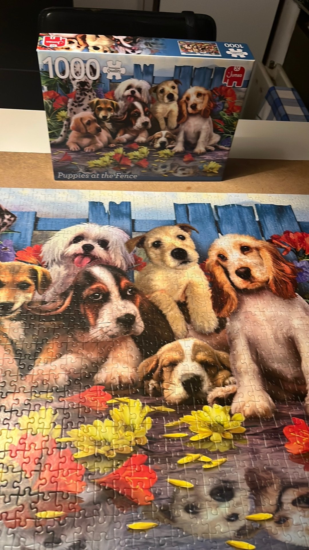 Puppies at the Fence.  1000 st, Ophalen, Meer dan 50 stukjes, Zo goed als nieuw, 6 jaar of ouder