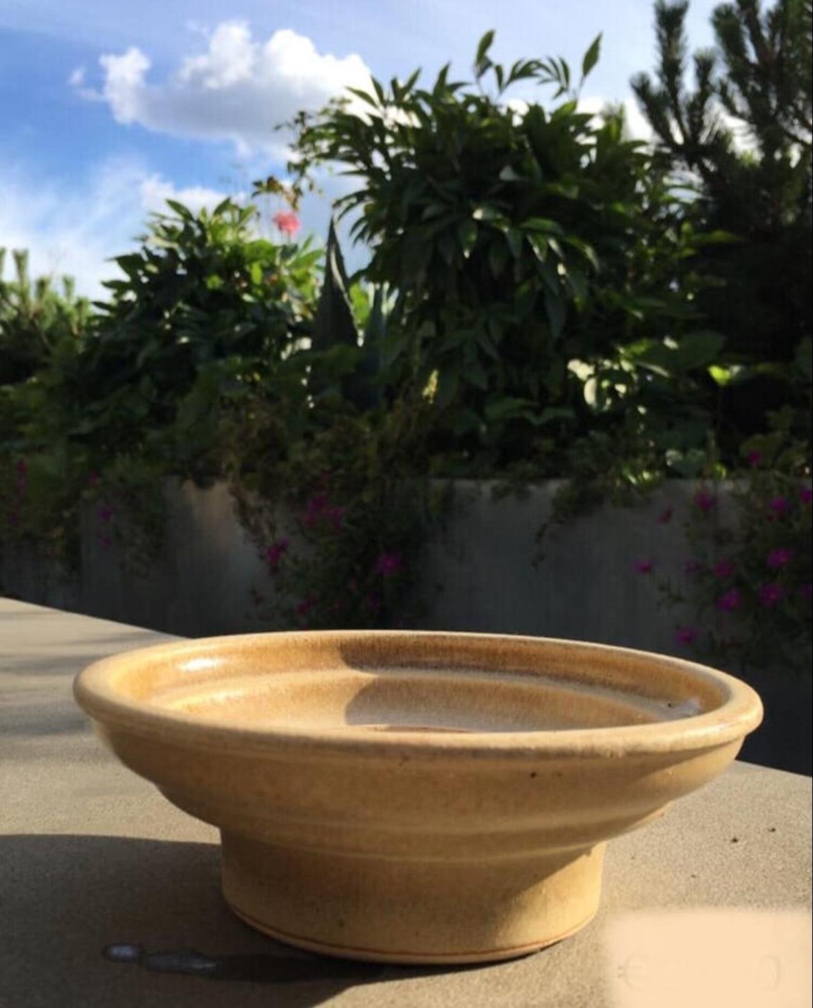 Beige oude pot bonsai keramische vogelbad of voederbak, Ophalen
