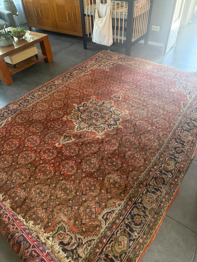 Vloerkleden, Ophalen, Rood, Perzisch, 200 cm of meer