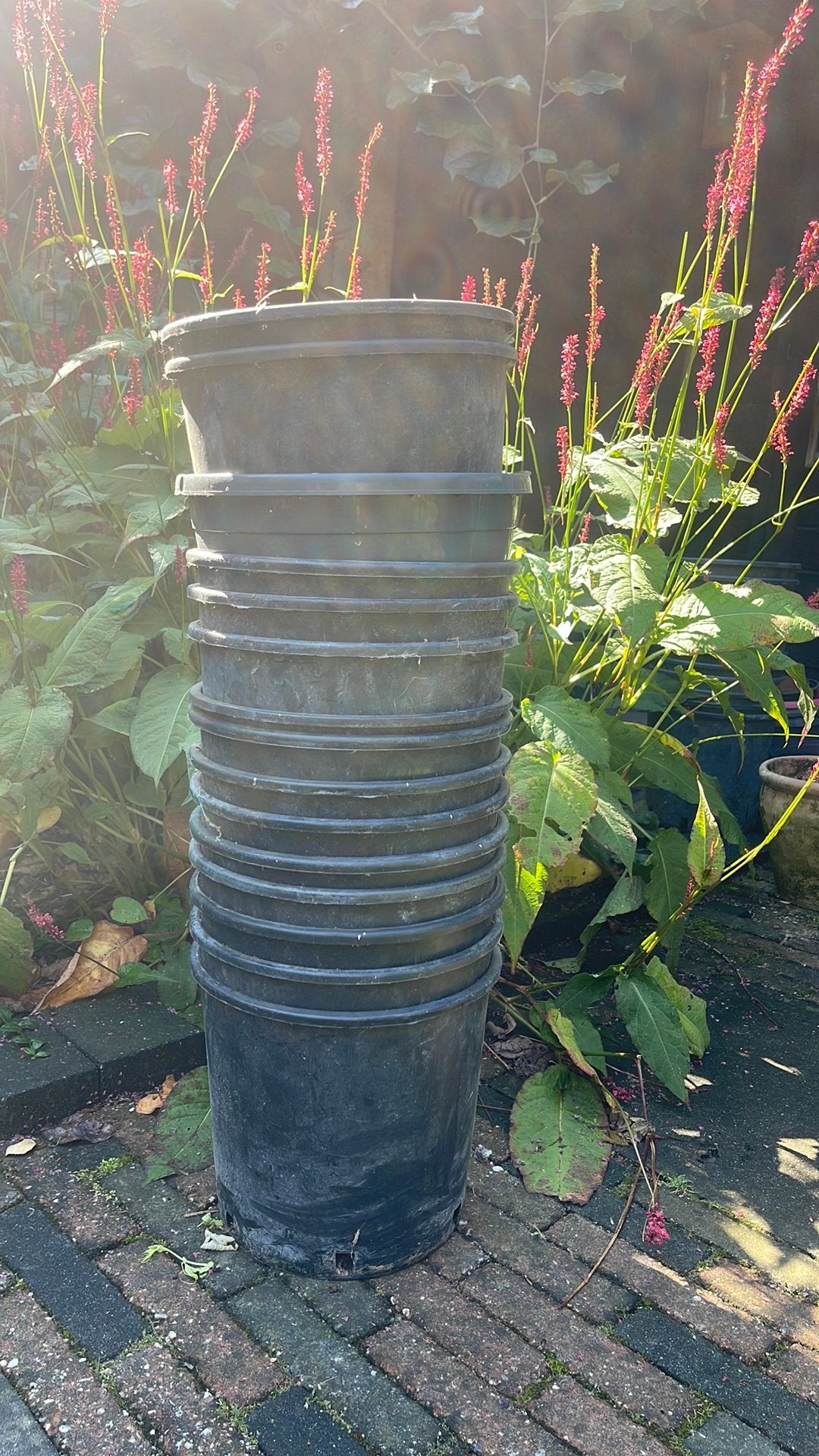 Handige binnen potten, Tuin en Terras, Bloempotten, Ophalen, Kunststof, Gebruikt, Rond