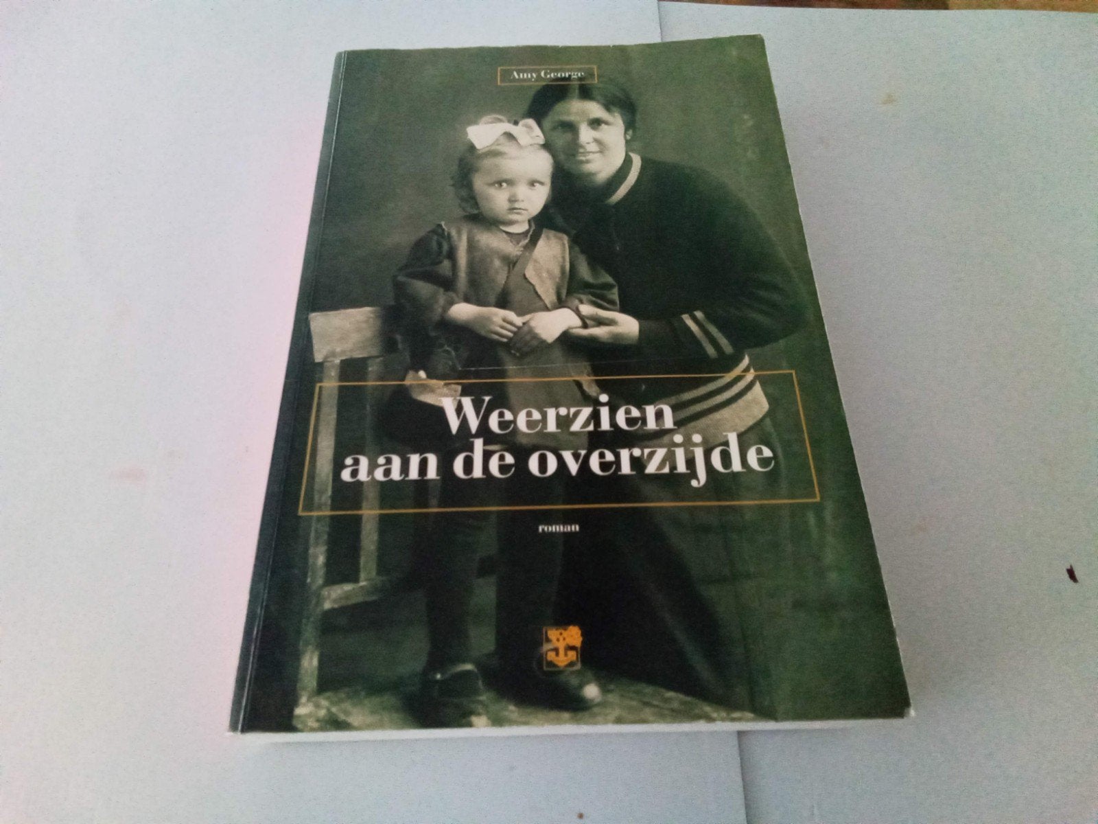 Weerzien aan de overzijde ( Amy George, Ophalen of Verzenden, Zo goed als nieuw
