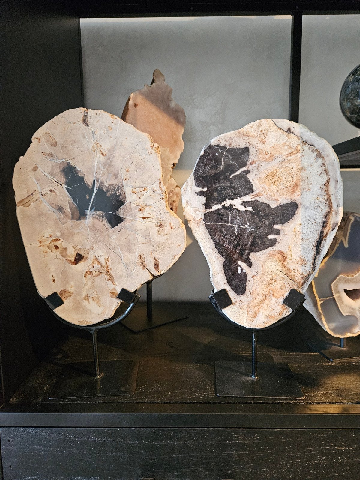 Set versteend hout op standaard, Ophalen of Verzenden