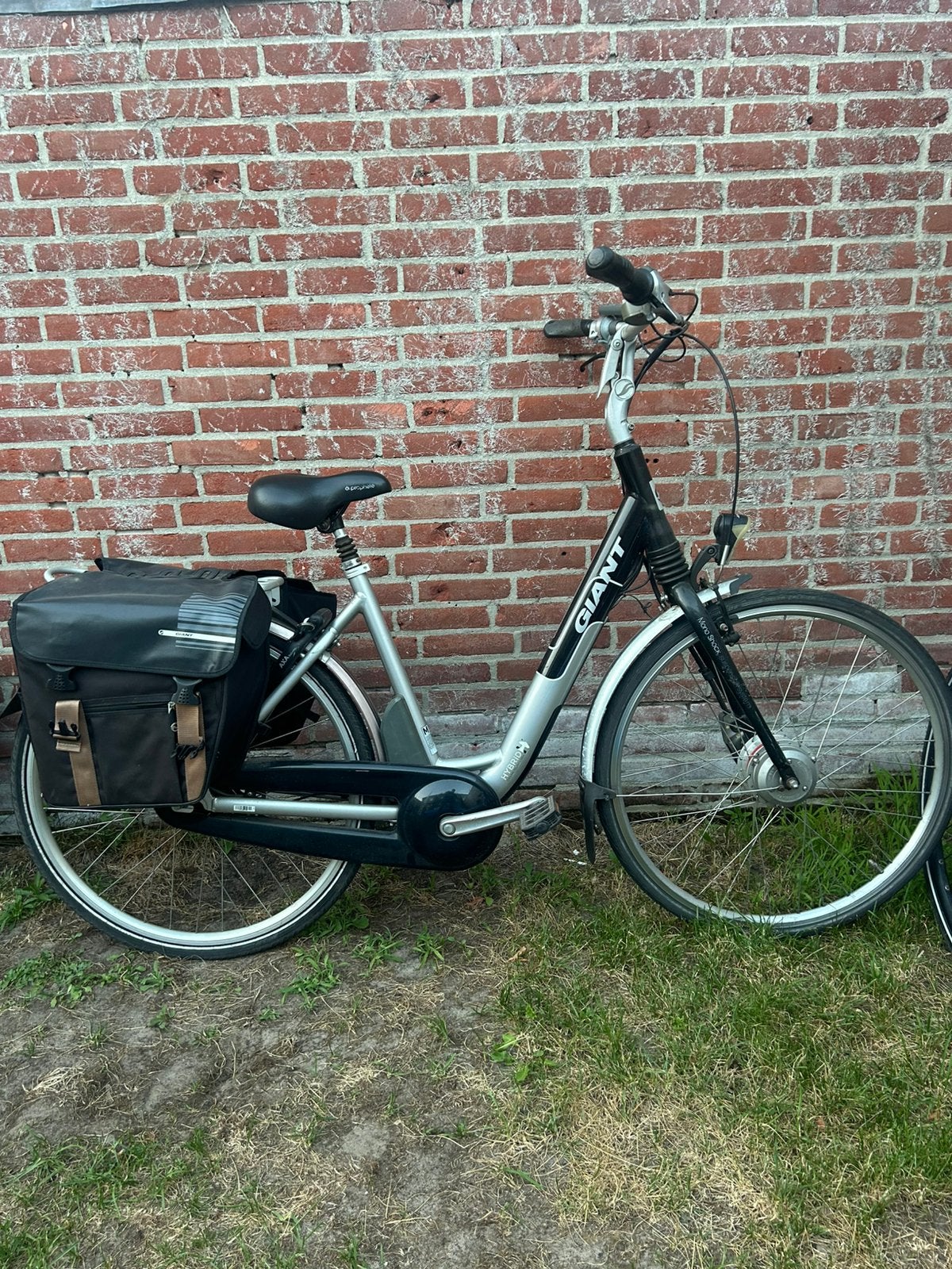 Giant elektrische fiets, Ophalen, Zo goed als nieuw, Overige merken