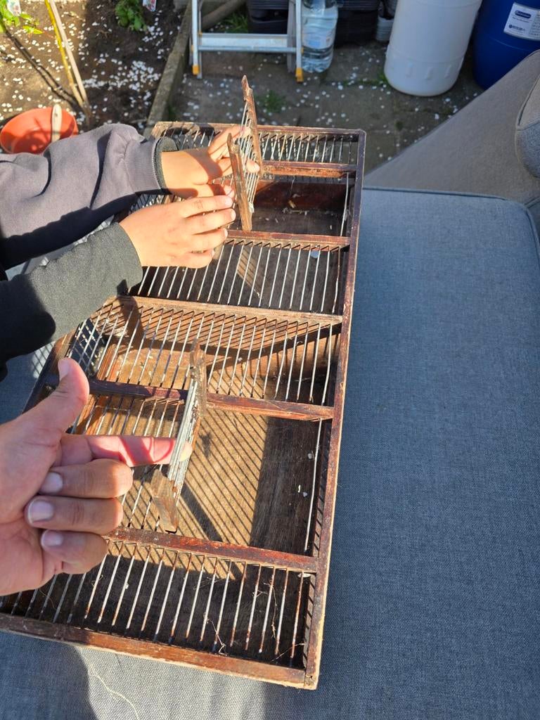 Kooi om vogels te vervoeren, Dieren en Toebehoren, Ophalen, Hout, Vogelkooi
