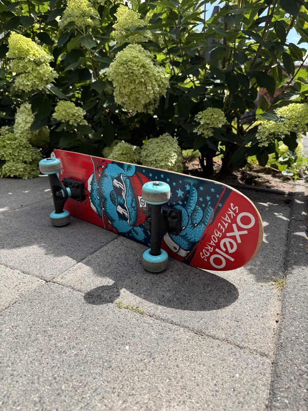 Oxelo Skateboard met unieke beer print, Ophalen, Gebruikt, Skateboard