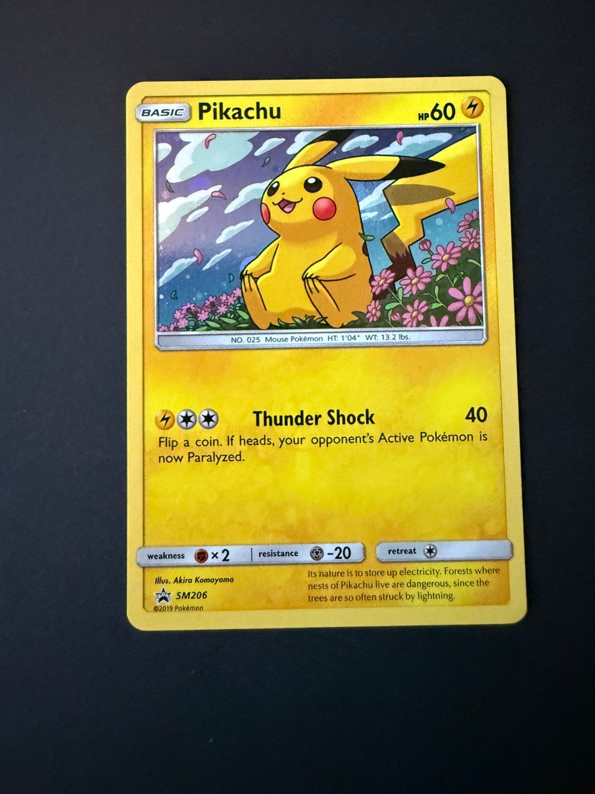 SM 206 Pikachu promo, Ophalen of Verzenden, Nieuw, Losse kaart