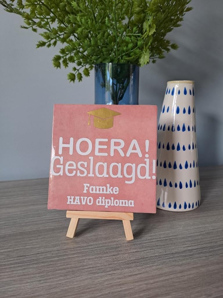 GESLAAGD! Leg dit mijlpaal vast op een uniek tegeltje!, Ophalen of Verzenden, Nieuw